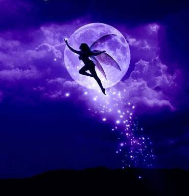 moon fairy