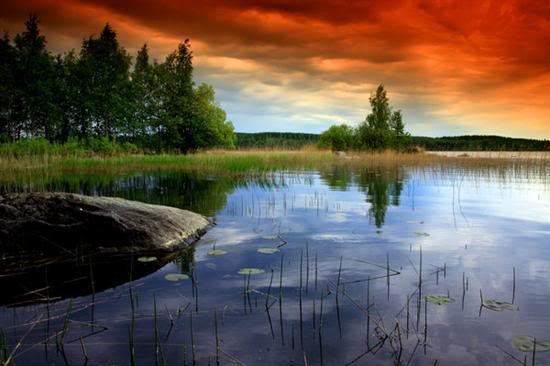 nature02