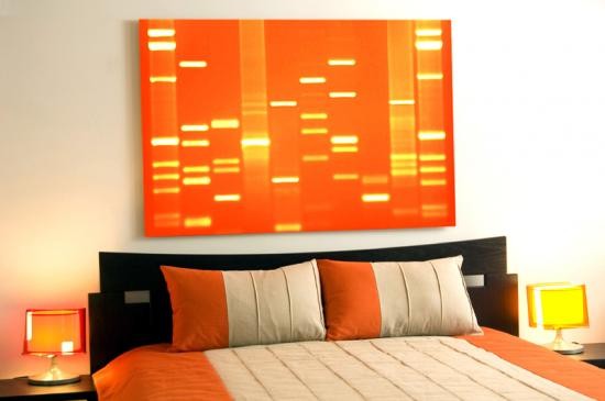dna-portrait-1