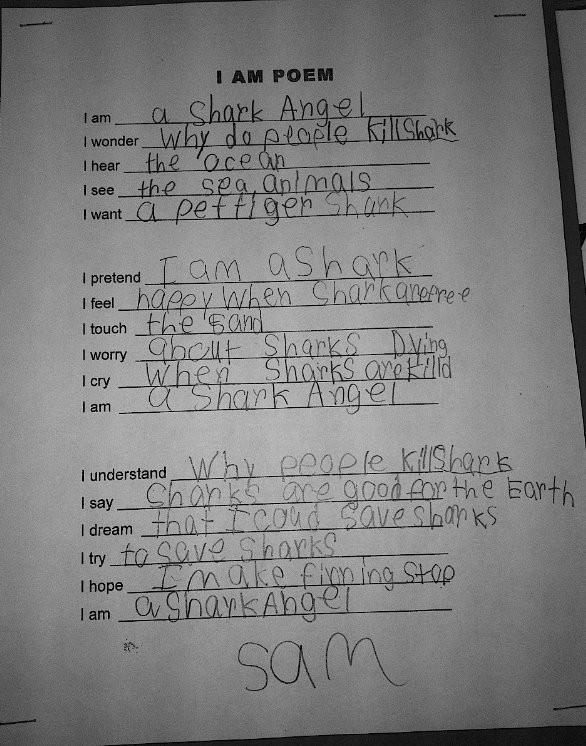 7 year old Sam - Shark Angel