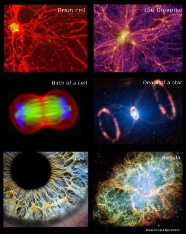 oneness
